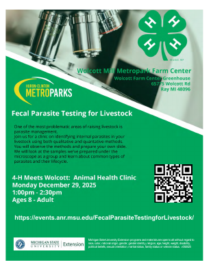 Waiting for image to load...